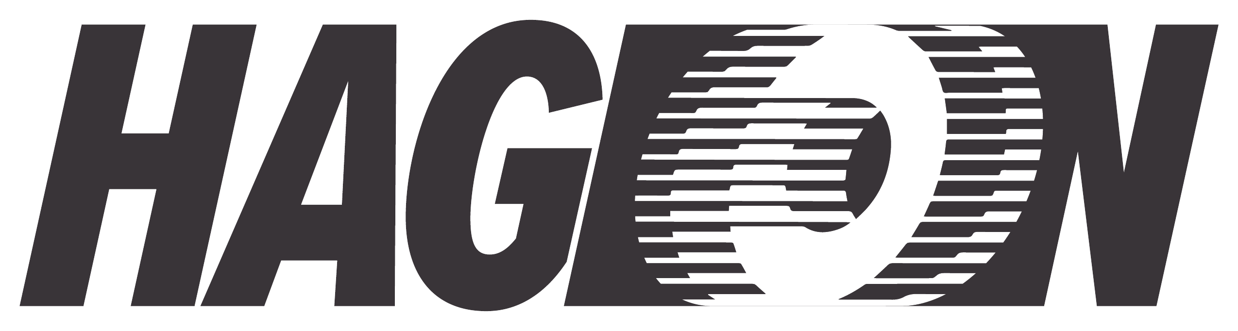 Hagion Group logo, a bold black wordmark with a stylized H mark
